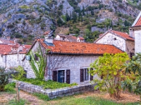 Kotor